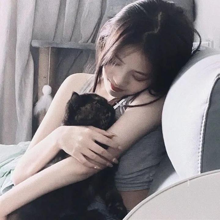 春光灿烂猪九妹